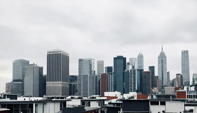 信息查询功能的适用条件与使用限制